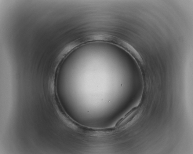 X0000111670938200907241209