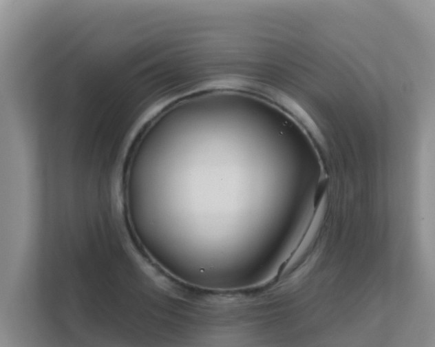 X0000111670939200907241209