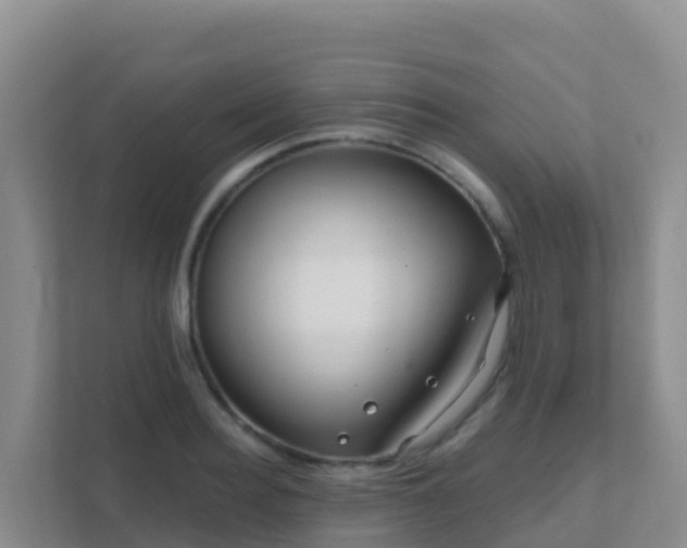 X0000111670940200907241209