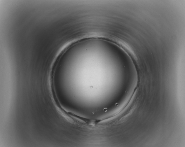 X0000111670942200907241209