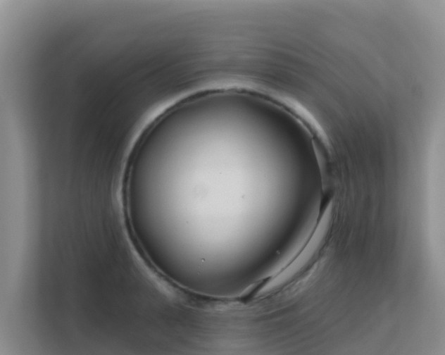 X0000111670943200907241209