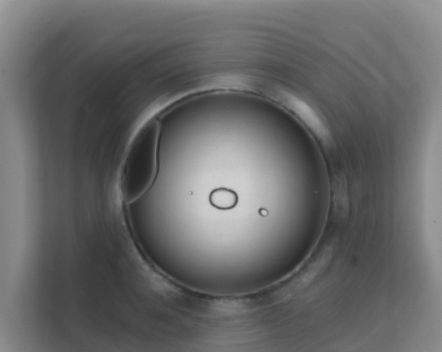 X0000111670944200907241209