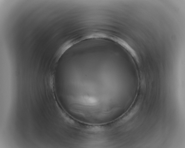 X0000111670945200907241209