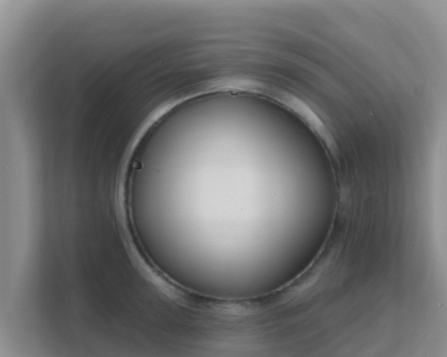 X0000111670947200907241209