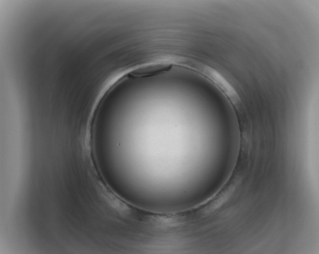 X0000111670948200907241209