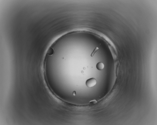 X0000111670951200907241209