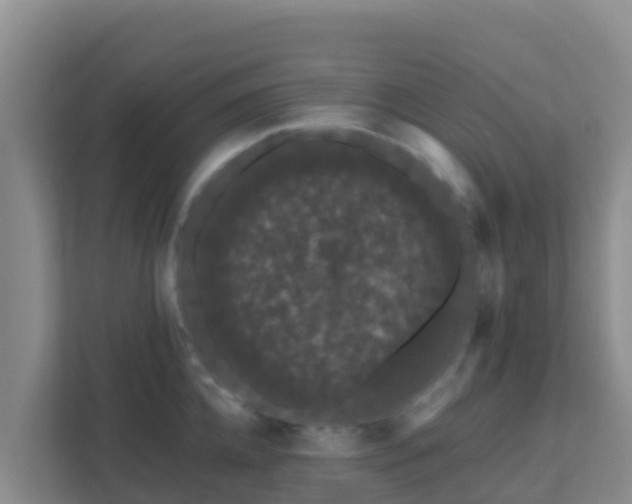 X0000111670952200907241209