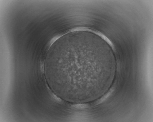 X0000111670953200907241209