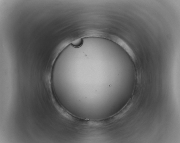 X0000111670954200907241209