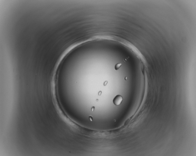 X0000111670955200907241209