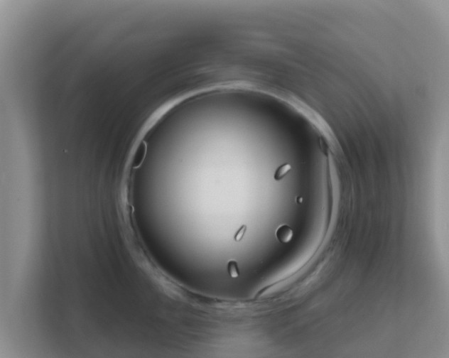 X0000111670956200907241209