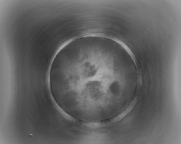 X0000111670957200907241209