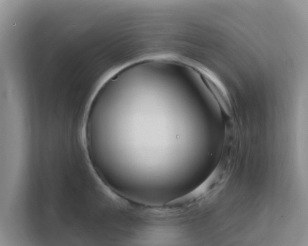 X0000111670959200907241209