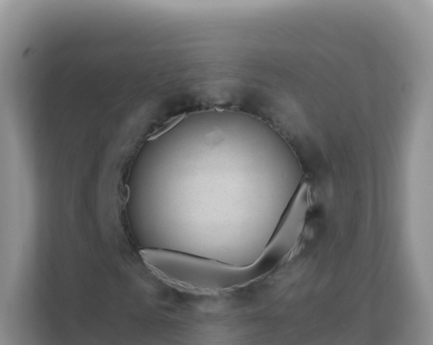 X0000111670961200907241209