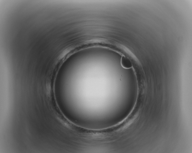 X0000111670969200907241209