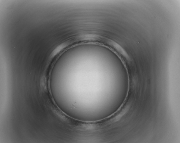 X0000111670970200907241209