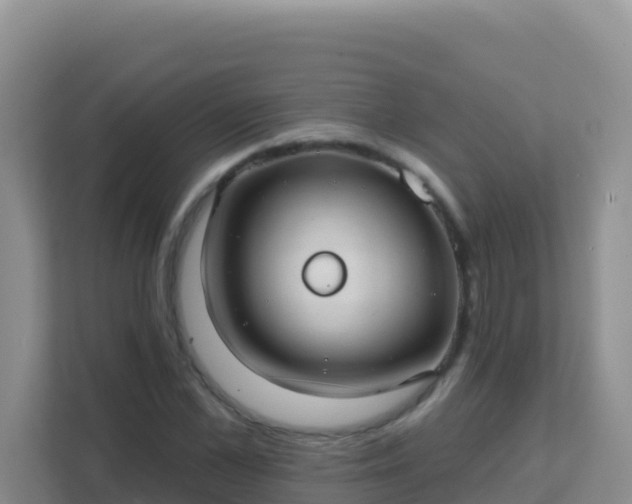 X0000111670973200907241209