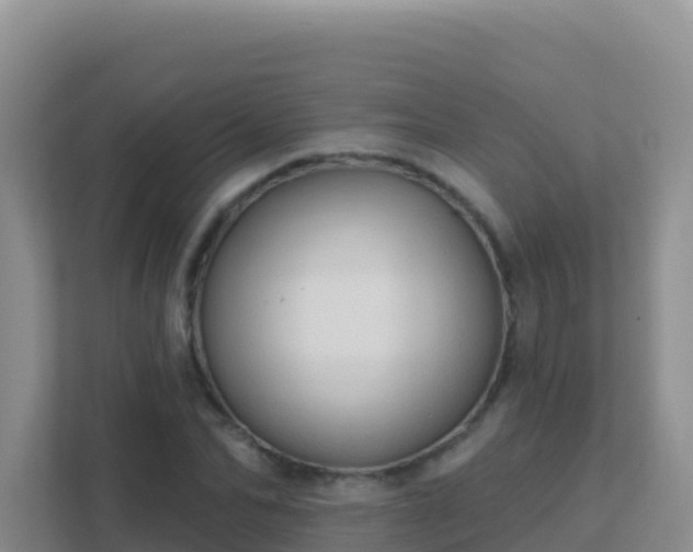 X0000111670974200907241209