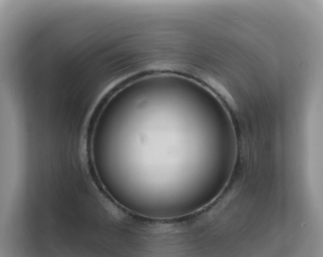 X0000111670976200907241209