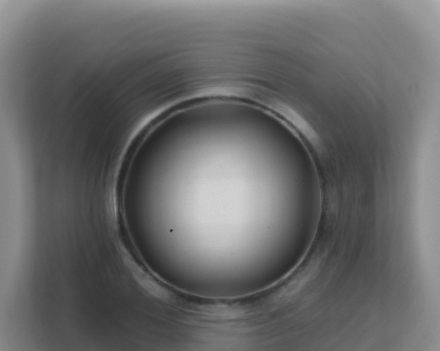 X0000111670980200907241209