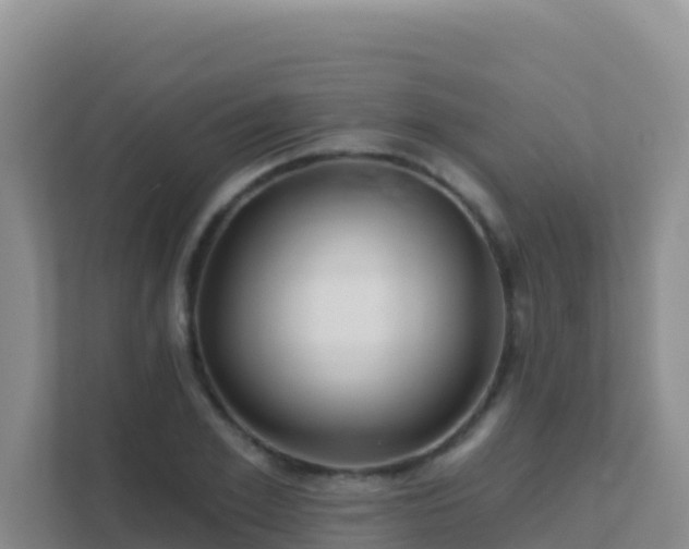 X0000111670981200907241209