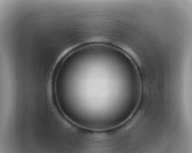 X0000111670983200907241209