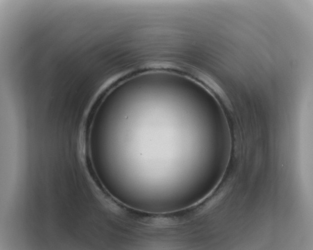 X0000111670984200907241209