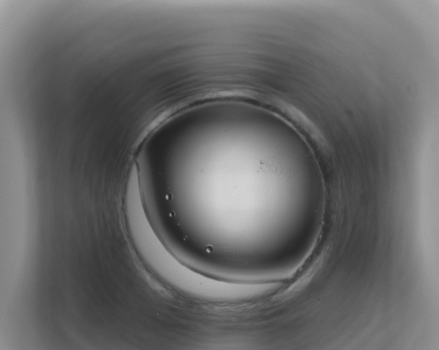 X0000111670985200907241209