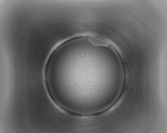 X0000111670989200907241208