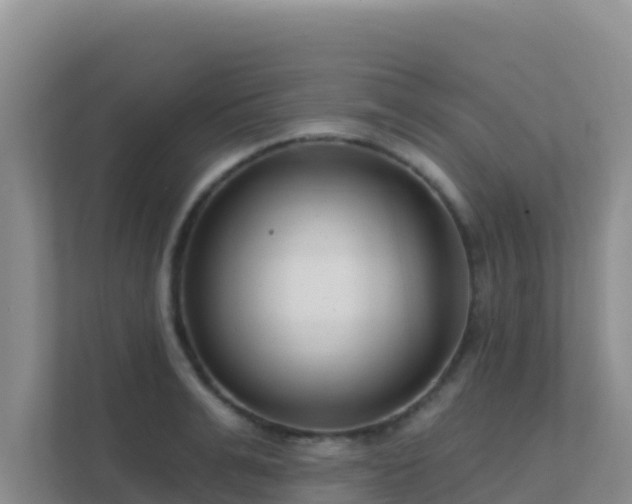 X0000111670991200907241208