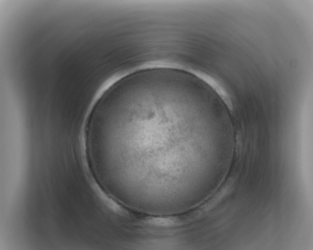 X0000111670998200907241208