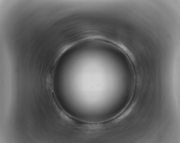 X0000111671001200907241208