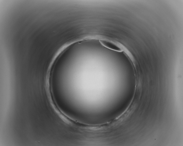 X0000111671005200907241208