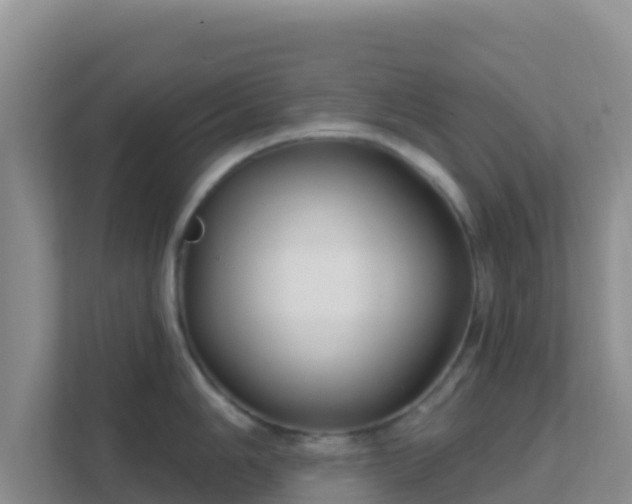 X0000111671006200907241208