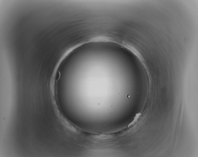 X0000111671008200907241208