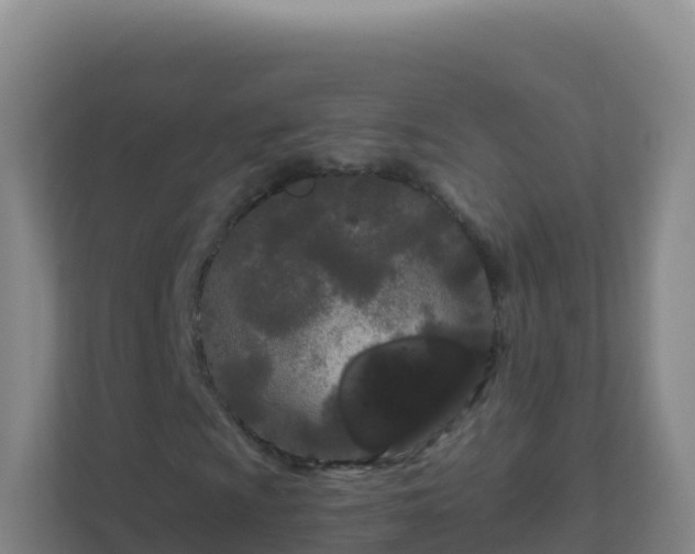 X0000111671009200907241208