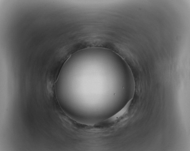 X0000111671010200907241208