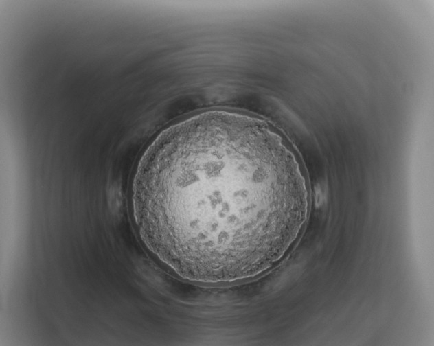 X0000111671011200907241208