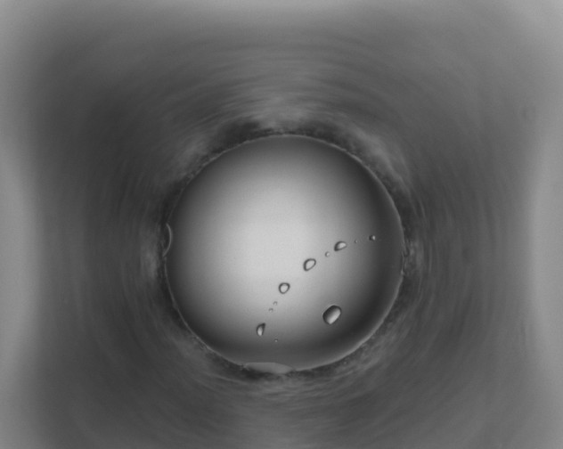 X0000111671012200907241208