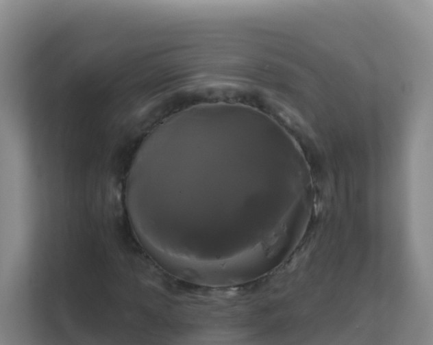 X0000111671013200907241208