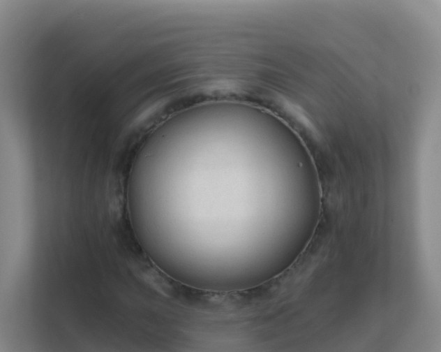 X0000111671015200907241208