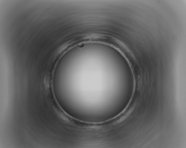 X0000111671017200907241208