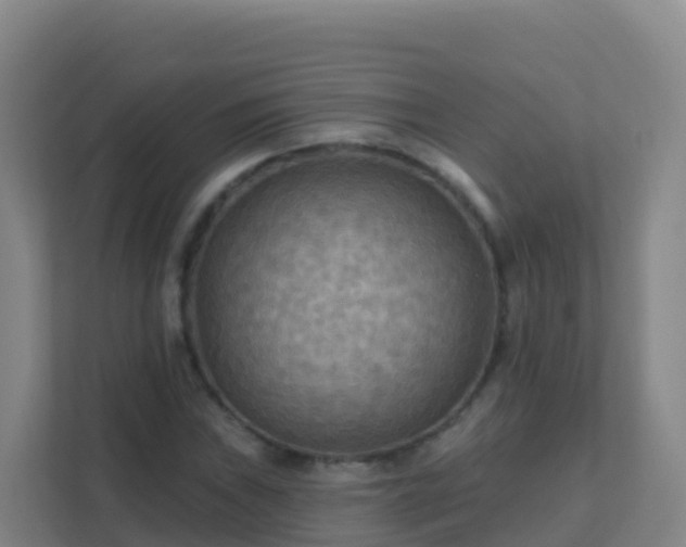 X0000111671019200907241208