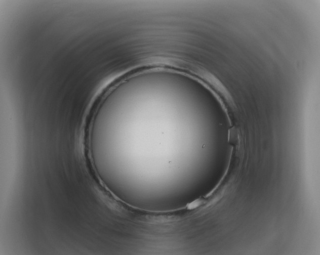 X0000111671020200907241208