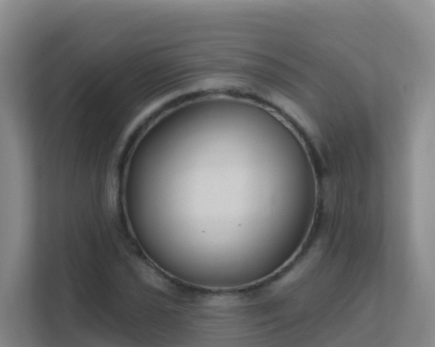 X0000111671021200907241208