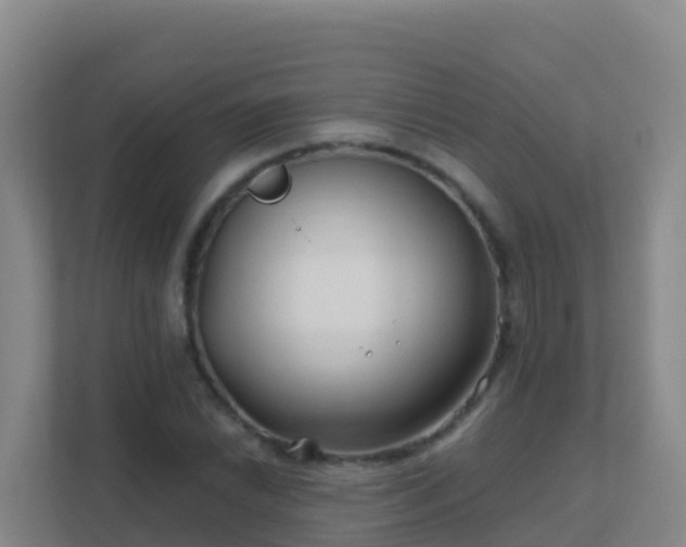 X0000111671022200907241208