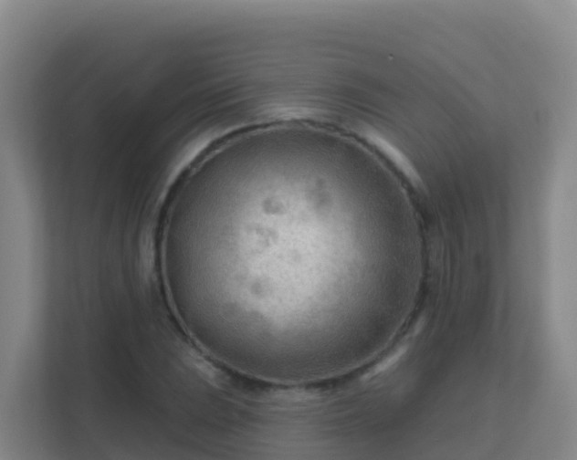 X0000111671023200907241208