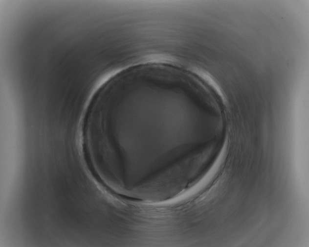 X0000111671024200907241208