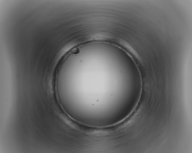 X0000111671026200907241208