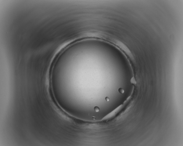 X0000111671028200907241208